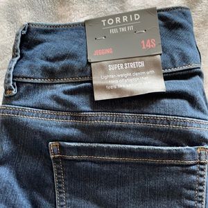 Torrid Jeggings
